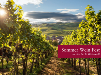 Sommer Wein Fest in der Secli Weinwelt