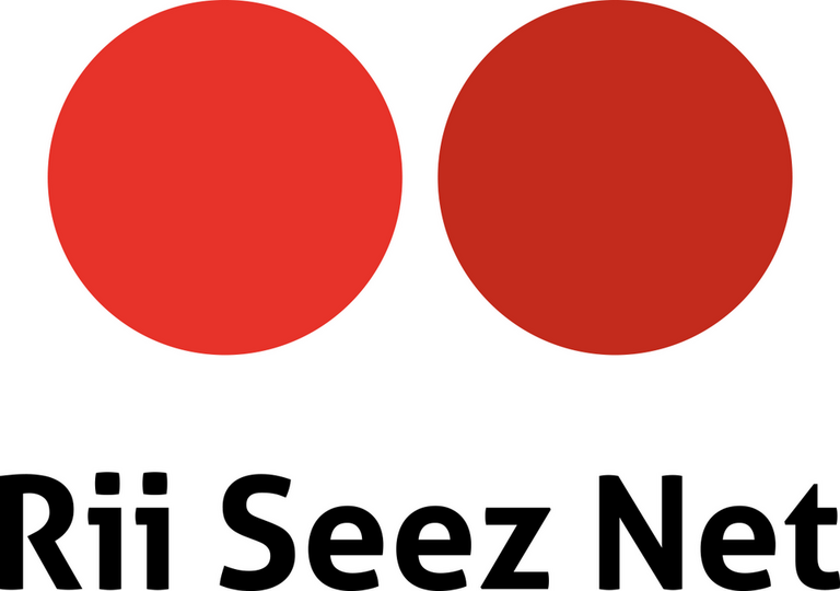 Rii-Seez-Net-News-Logo-Sommer.png 